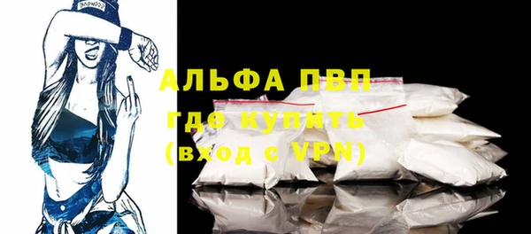 стаф Нефтекумск