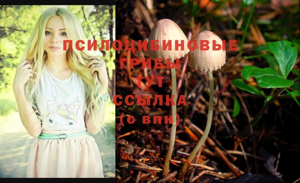 кокс Нея
